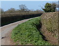 Neatly cut hedges on Redburrow Lane