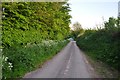 West Somerset : Country Lane