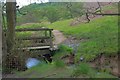SE8391 : Footbridge over Levisham Beck by Mick Garratt