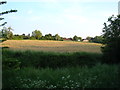 View of houses on The Chase from the Hainault Road car park