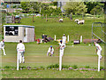 Village Cricket at Riddlesden