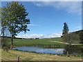 Fishing lochan, Synton Parkhead