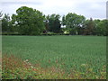 Farmland and windmill off Stockmore Lane