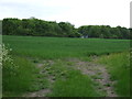 Farmland, Thornton le Moor