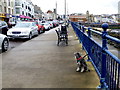 Patiently waiting, Portstewart