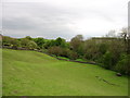 Fields at Gilsland