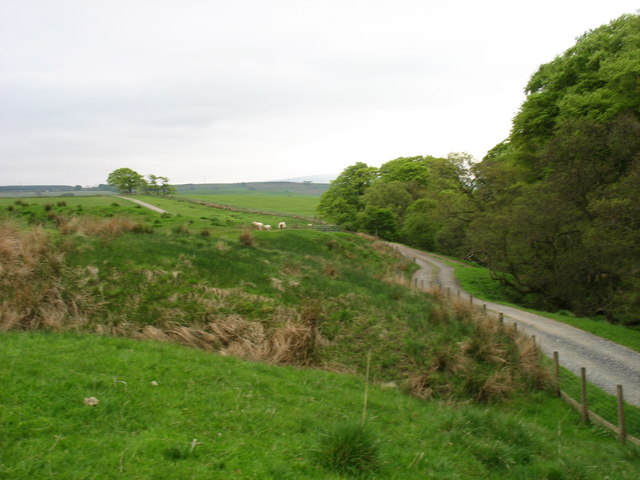 The track to Lanerton Farm