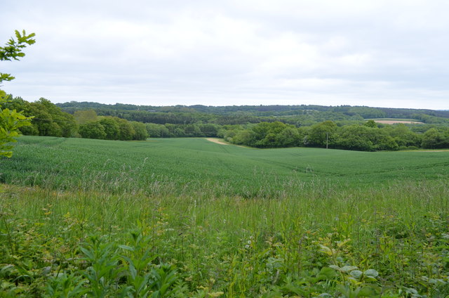 Farmland off Starve Goose Lane