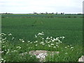 Farmland off Southfield Road