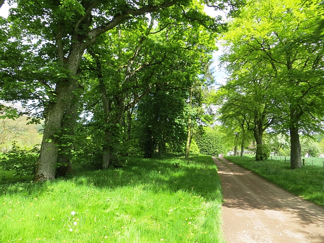 Access road, Clennell Hall Riverside Holiday Park