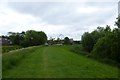 Along the floodbank