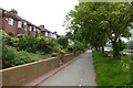 Houses on Sycamore Terrace