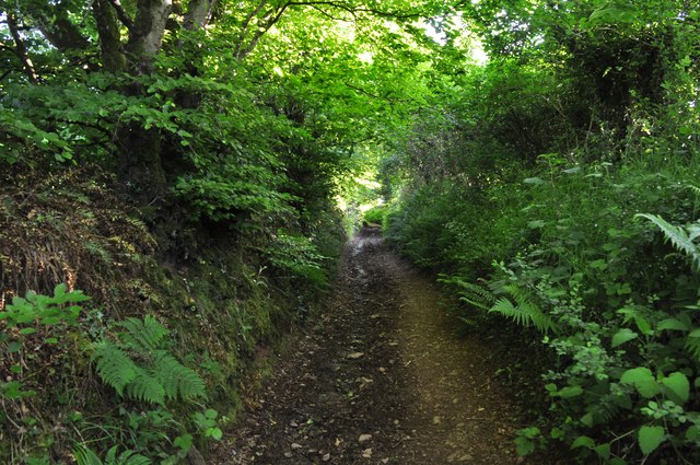 Mid Devon : Ridge Lane