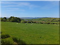 Grassland at Nebo