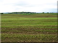 NY4861 : Undulating fields near Carlisle Airport by David Purchase