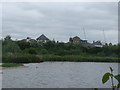 View of houses on Wyatt Drive from the London Wetland Centre #2