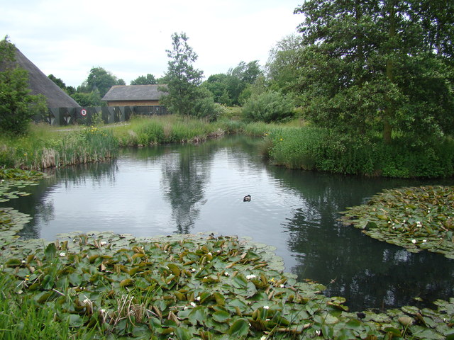View of the pond by the entrance from the Waterside Cafe in the London Wetland Centre