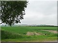 SK6155 : Cereal field south of Baulker Lane by Christine Johnstone