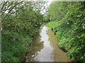 The Ladden Brook looking downstream from Ladden Bows Bridge