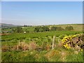 Oughtdoorish Townland