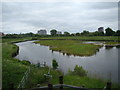 View of Charing Cross Hospital and towerblocks in Fulham from Peacock Tower in the London Wetlands Centre