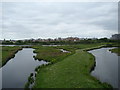 View of houses on Wyatt Drive from Peacock Tower in the London Wetland Centre