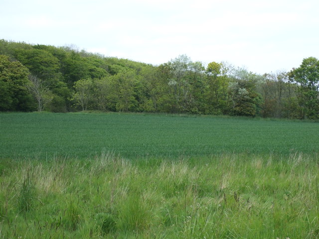 Farmland and woodland