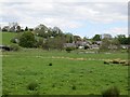 NT9503 : Sharperton Common by Richard Webb