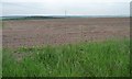 Large field north-west of Haywood Oaks Farm