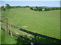 Horse pastures next to Hermitage Road