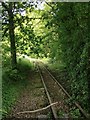 Disused narrow-gauge railway, by Gorebridge Green Farm (1)