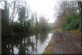 Basingstoke Canal