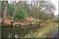 Basingstoke Canal