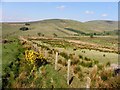 Glenchiel Townland