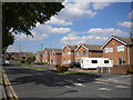 Houses on Brownlow Drive, Rise Park