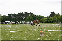 SK9949 : Daisy-cutter at the R.A.F. Cranwell Riding Club Horse Trials by Chris