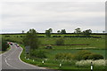 Sheep grazing on the site of the Medieval Village of Dunsby