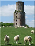 SU0306 : Horton: sheep below Horton Tower by Chris Downer