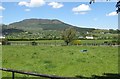 Farmland between Tievecrom Road and the B113 (Newry Road)