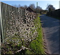 Newton Road near Heather