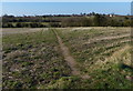 Footpath to Heather