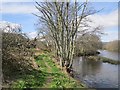 Riverside path, Templemill