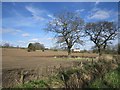 Arable land, Pittachar