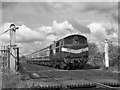 Train at Kilmore level crossing - 1985