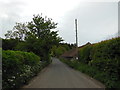 Shiplate Road at Shiplate Manor Farm