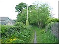 Footpath to Tong Park