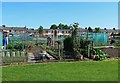 Allotments in Kilmarnock