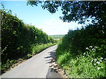 TQ6054 : Looking along Winfield Lane by Marathon