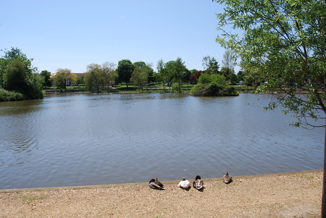 Baffins Pond (13) © Barry Shimmon cc-by-sa/2.0 :: Geograph Britain and ...