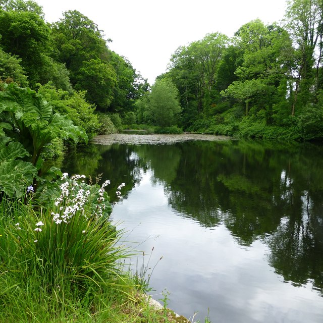 The lake at Newtownbarry House